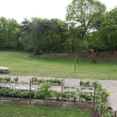 Vakantieboerderij 'T Zand - Appartement Heeswijk-Dinther Eksteriør billede